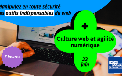 Culture web et agilité numérique